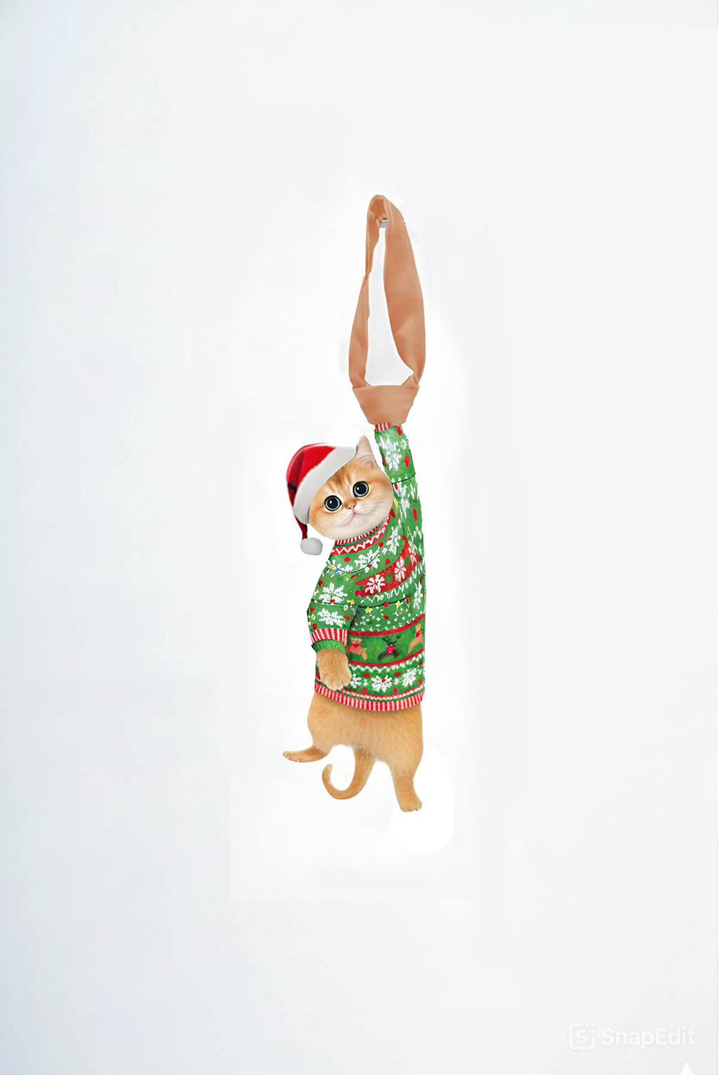 Animals Ties, Silk Tie - Golden British Shorthair Noel Lucky Cat Tie, Novelty Tie.