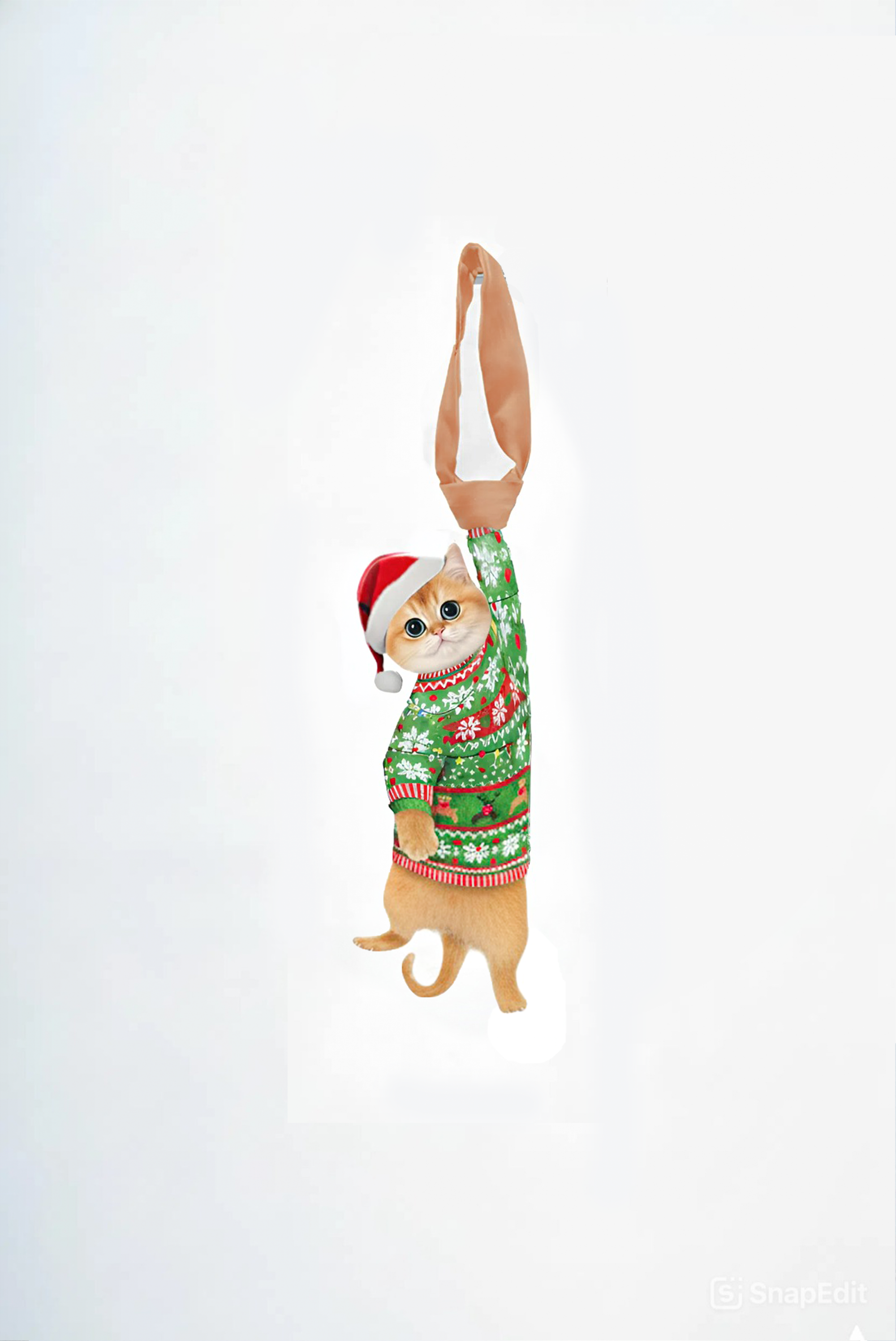 Animals Ties, Silk Tie - Golden British Shorthair Noel Lucky Cat Tie, Novelty Tie.