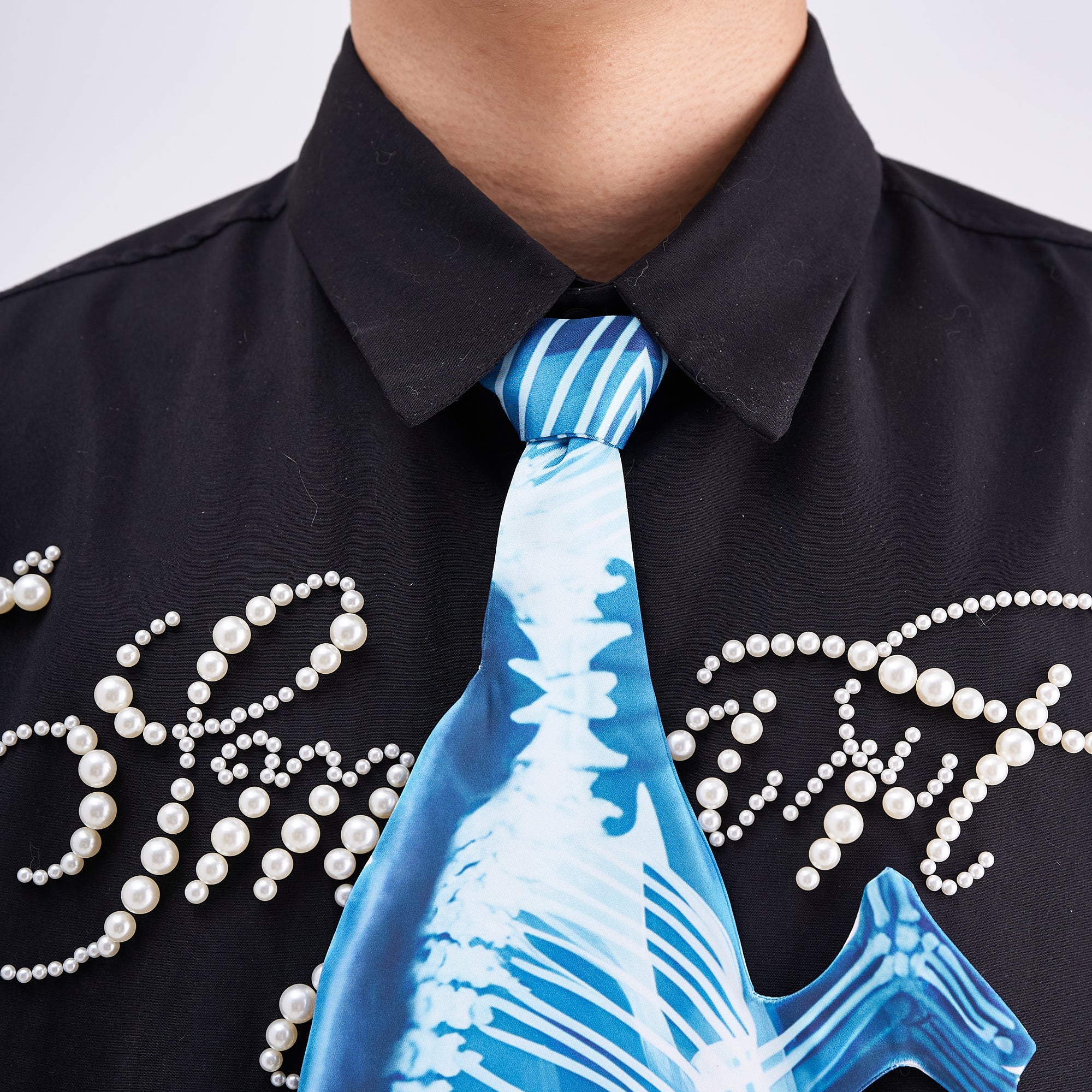 Animals Ties X-ray Chameleon Tie, Vintage Tie, Novelty Tie, Tie Accessories Holiday Gift, Tie Gift, Tie Accessories